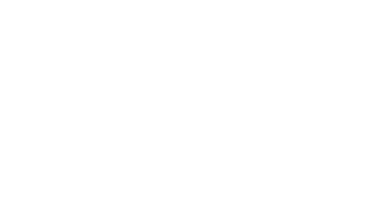 Regal Controls